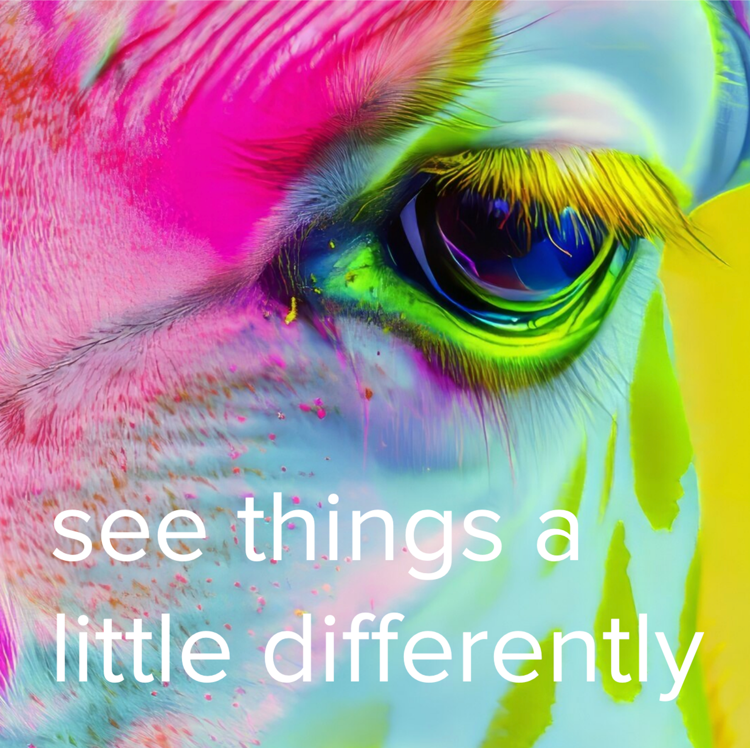 SS see things differently